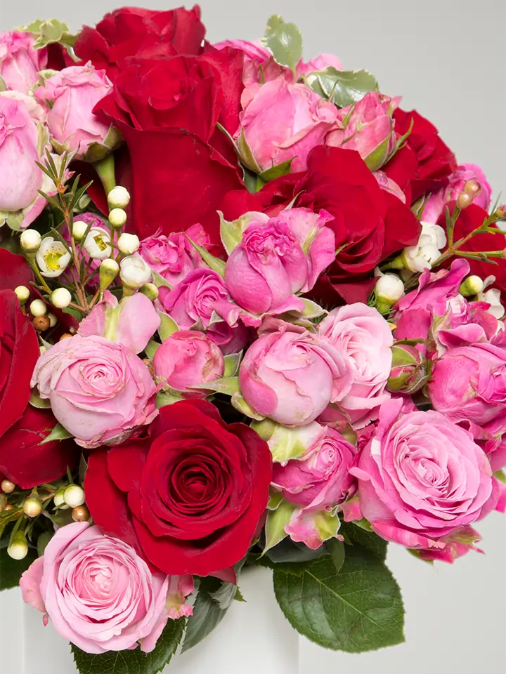 Bouquet compatto di rose rosse e rosa dettagli